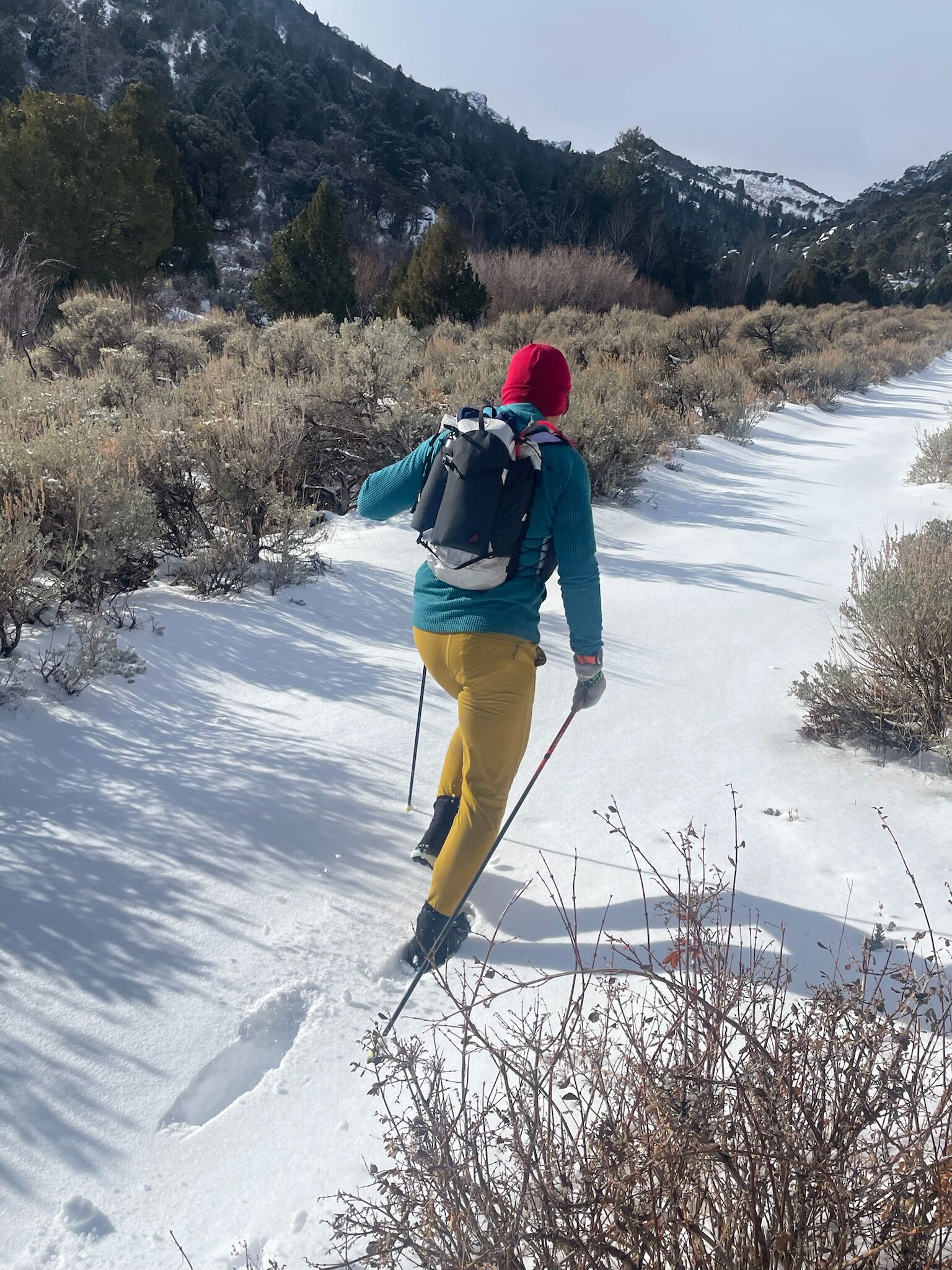 Purist Hydration Pack - Image 17
